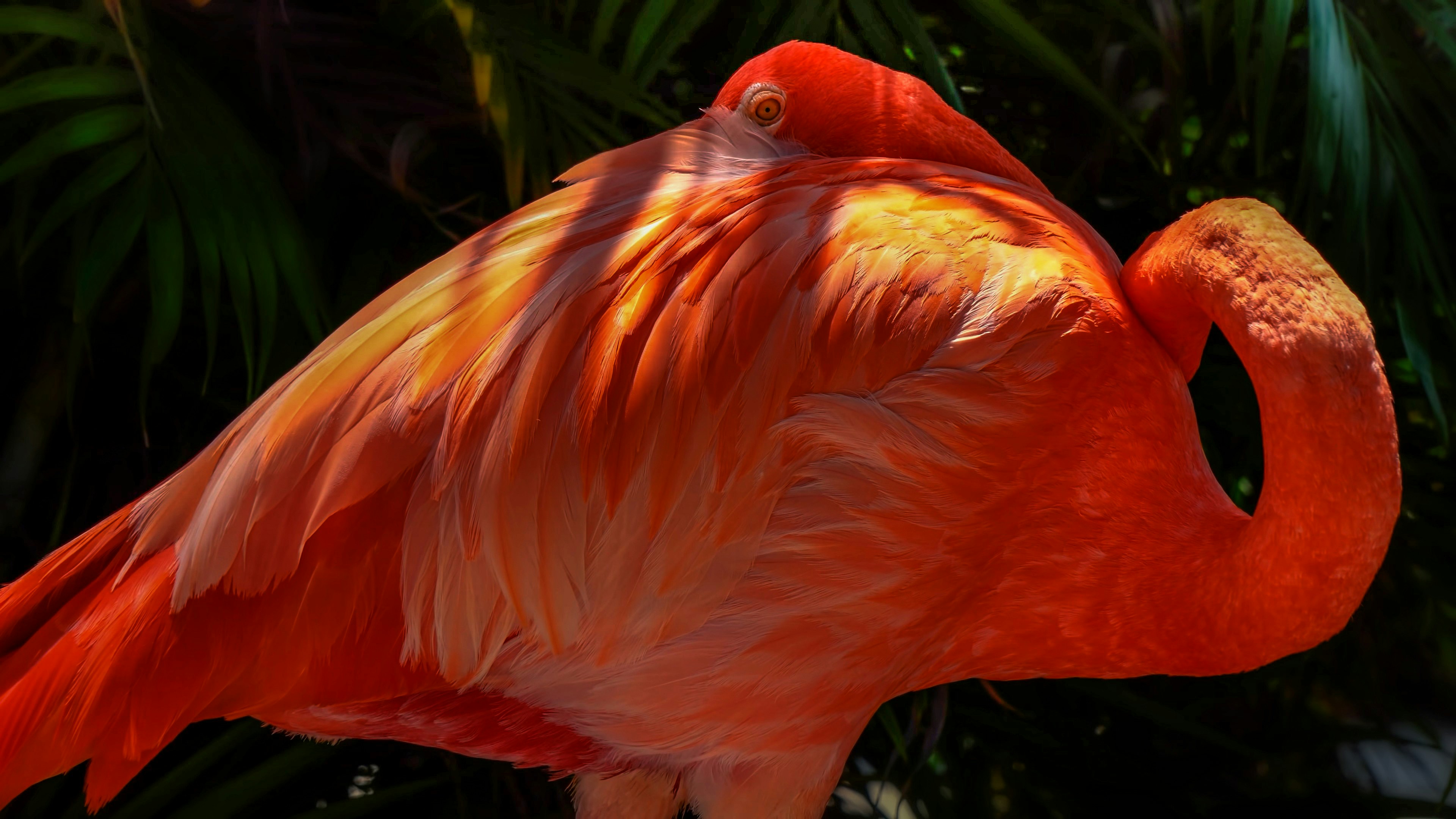Drive to Cienaga de Zapata National Park ( drive by Bay of Pigs)