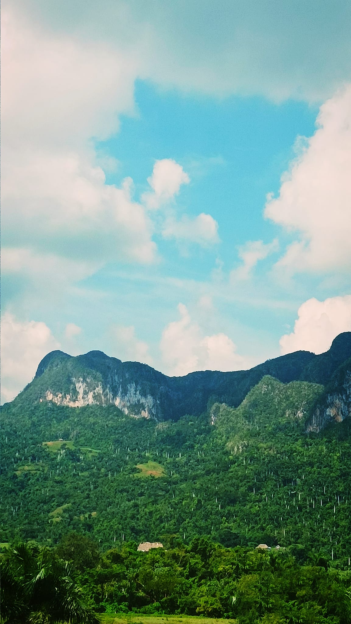 Eco-Lunch & Drive to Soroa